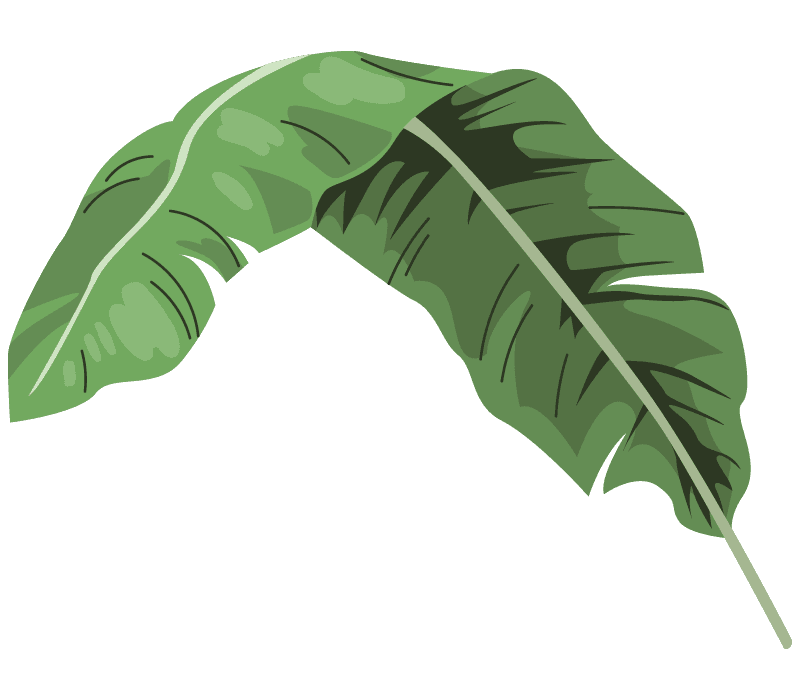 Banana Leaf