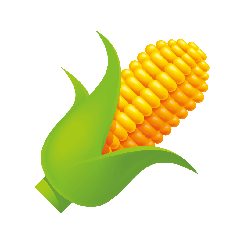 Corn